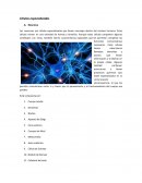Fisiologia Células especializadas