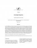 Genética Genealogía Sanguínea