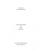 Literatura contemporanea Trabajo escrito