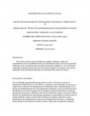 Informe final de servicio social