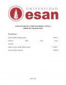 ENSAYO PARA EL CURSO FILOSOFIA Y ETICA CRISIS DE VOLKSWAGEN