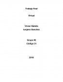 Trabajo final Virtual
