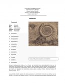 Departamento de Diversidad Biológica II