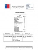 Manual de organizacion sala cuna