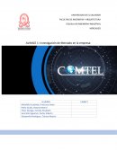 Investigación de Mercado en la empresa