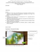 Práctica 1: MEDICONES DE LA FOTOSINTESIS Y FACTORES QUE LA AFECTAN