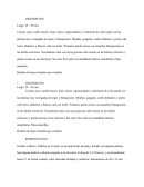 La perdiz resumen