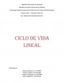 Ejemplo ciclo de vida en cascada