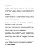 Público objetivo del producto