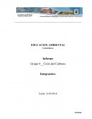 Ciclo del Carbono tarea