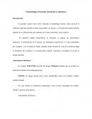 Historias de los video juegos