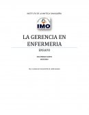 LA GERENCIA EN ENFERMERIA ENSAYO