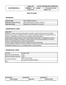 PERFIL DE CARGO DESIGNACIÓN