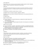 Contabilidad: conceptos basicos