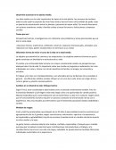 Desarollo sicosocial en aldultez media