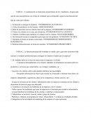 Organizacion Eq. de Ventas