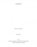 ANÁLISIS Y DESARROLLO DE SISTEMAS DE INFORMACIÓN