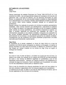DICTAMEN DE LOS AUDITORES