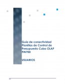 Manual OLAP Fin700