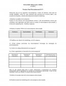 Práctica Final Mercadotecnia II-GV