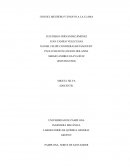 USO DEL MECHERO Y ENSAYO A LA LLAMA