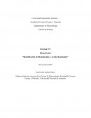 Informe Biologia biomoléculas