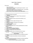 Hoja de Trabajo – Bioquimica I Aminoacidos