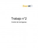 Trabajo n°2 Control de hormigones