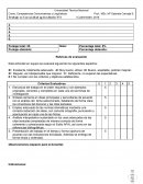 Actividad - Ficha FH -204