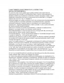 CARACTERÍSTICAS QUE PRESENTAN LA ESTRUCTURA SOCIALCONTEMPORÁNEA