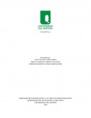 SEMINARIO DE INTRODUCCIÓN A LAS ÁREAS DE PROFUNDIZACIÓN ADMINISTRACIÓN DE NEGOCIOS A DISTANCIA