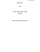 Biología celular. Tarea 3