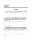 Descripcion de una obra Un bello paisaje