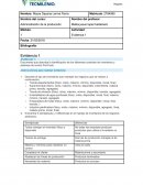 Evidencia 1 administracion de la produccion