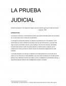 La prueba judicial