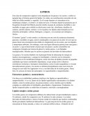 Lipidos - Ensayo de ciencias