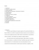 Desventajas en la metodología y herramientas de estimación