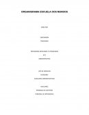 ORGANIGRAMA ESCUELA DOS MUNDOS