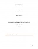 Trabajo Final, salud ocupacional o seguridad en la casa