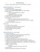 Resumen Anatomía netter