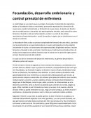 Fecundación, desarrollo embrionario y control prenatal de enfermera