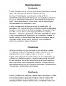 El nuevo Shock Hipovolemico