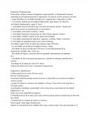 Diagnóstico de Organizaciones