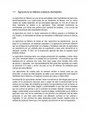 COMO SE DA LA Agricultura en México