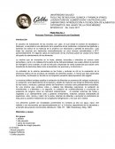 PRACTICA No. 1 Procesos Térmicos: Conservación por Escaldado