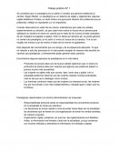 Trabajo práctico Nº 1 Encontramos algunos ejemplos de paradigmas en la vida diaria