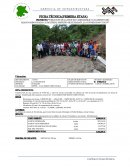 PROYECTO: Ficha tecnica