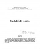 Medidor de Gases