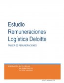 En el presente informe se tratan aspectos generales del estudio realizado por Deloitte