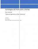 Estrategias de Promoción y Ventas Plan Comercial “Watersoil Ingenierías en Obras Hidráulicas”